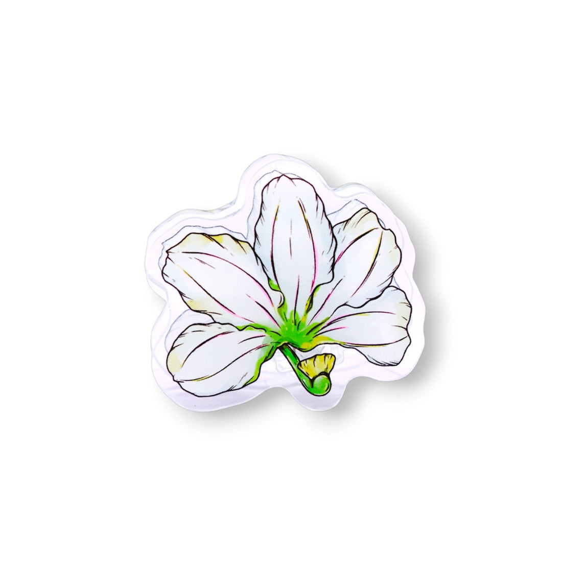 NAUPAKA ACRYLIC PAPER CLIP